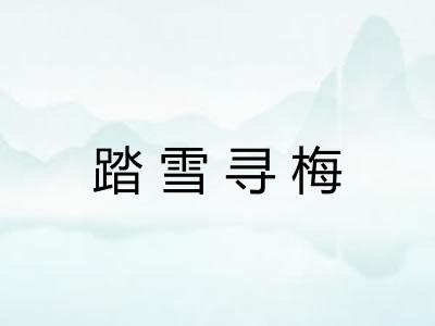 踏雪寻梅