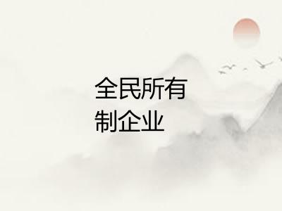 全民所有制企业