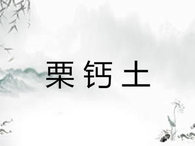 栗钙土
