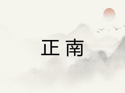 正南