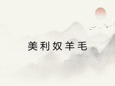 美利奴羊毛