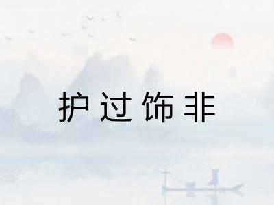 护过饰非