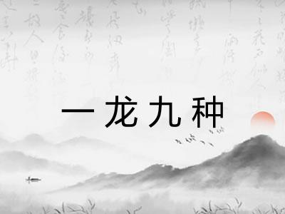 一龙九种