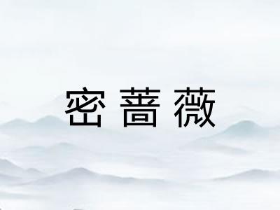 密蔷薇