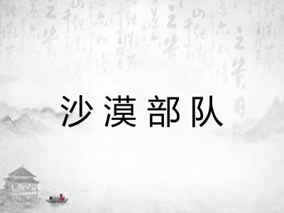 沙漠部队