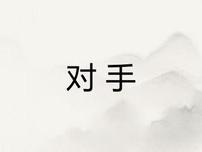 对手