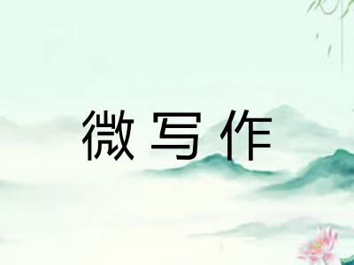 微写作