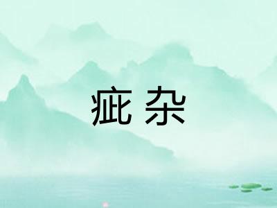 疵杂