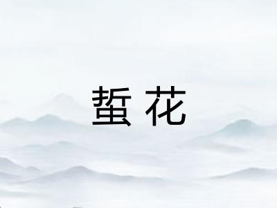 蜇花