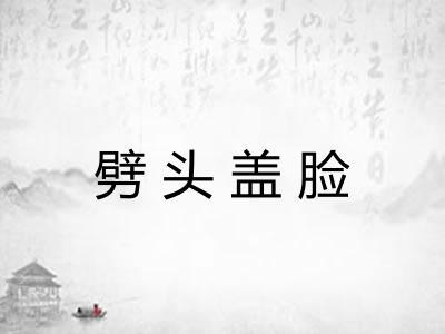 劈头盖脸