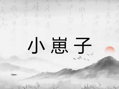 小崽子