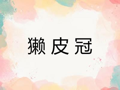 獭皮冠