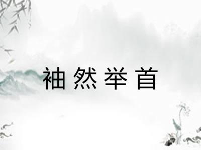 袖然举首