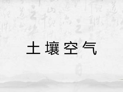 土壤空气