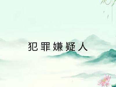 犯罪嫌疑人