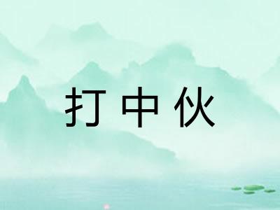 打中伙