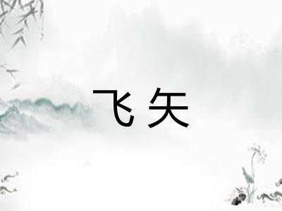 飞矢