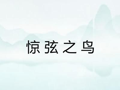 惊弦之鸟
