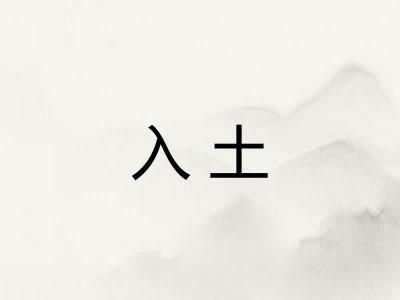 入土