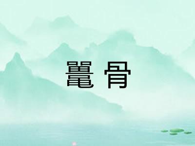 鼍骨