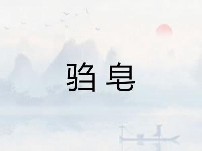 驺皂