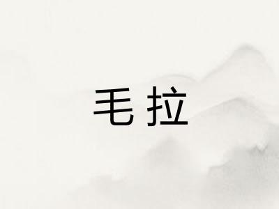 毛拉