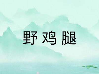 野鸡腿