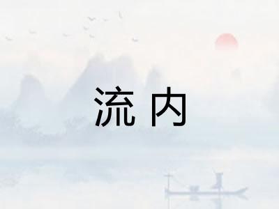 流内