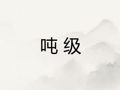 吨级