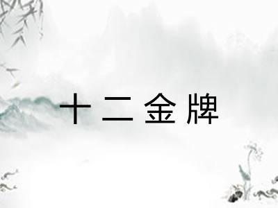 十二金牌