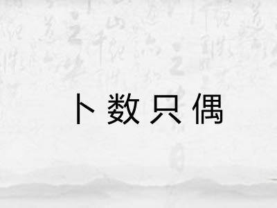 卜数只偶