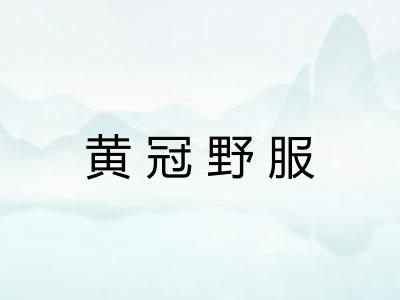 黄冠野服