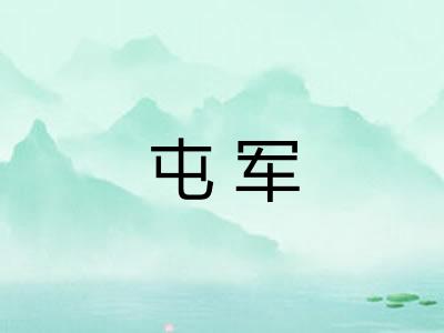屯军