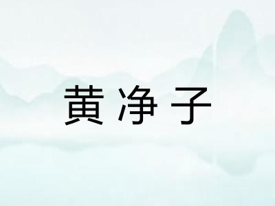 黄净子