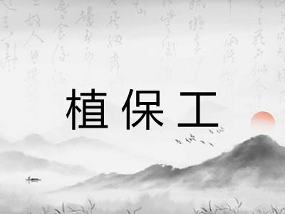 植保工