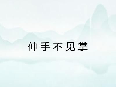 伸手不见掌