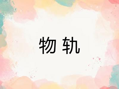 物轨