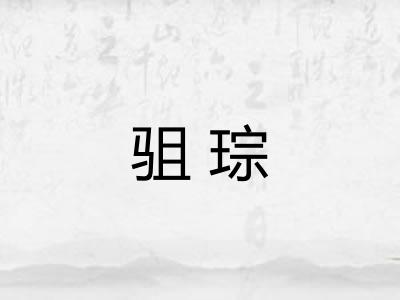 驵琮