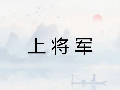 上将军
