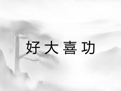 好大喜功