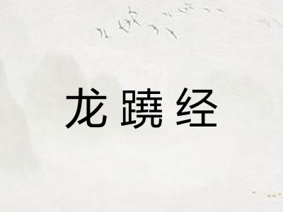 龙蹺经