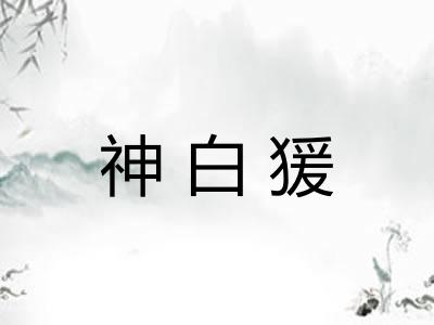神白猨