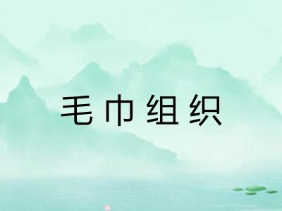毛巾组织