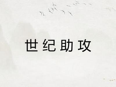 世纪助攻