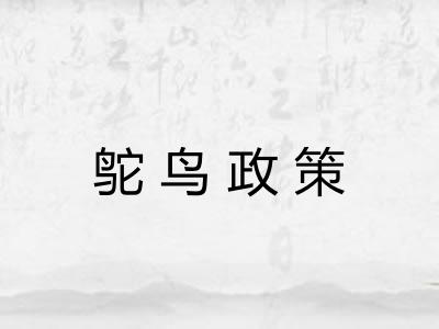 鸵鸟政策