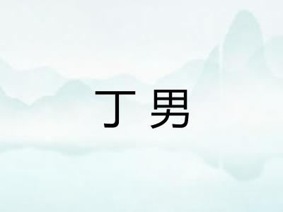 丁男