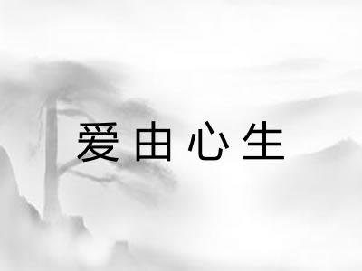 爱由心生