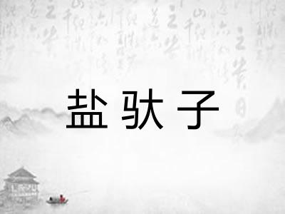 盐驮子