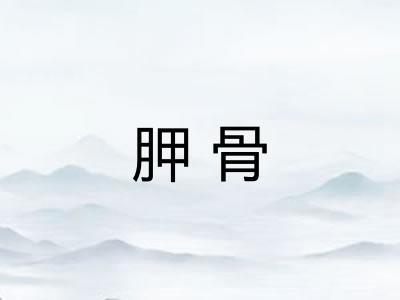 胛骨