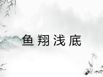 鱼翔浅底